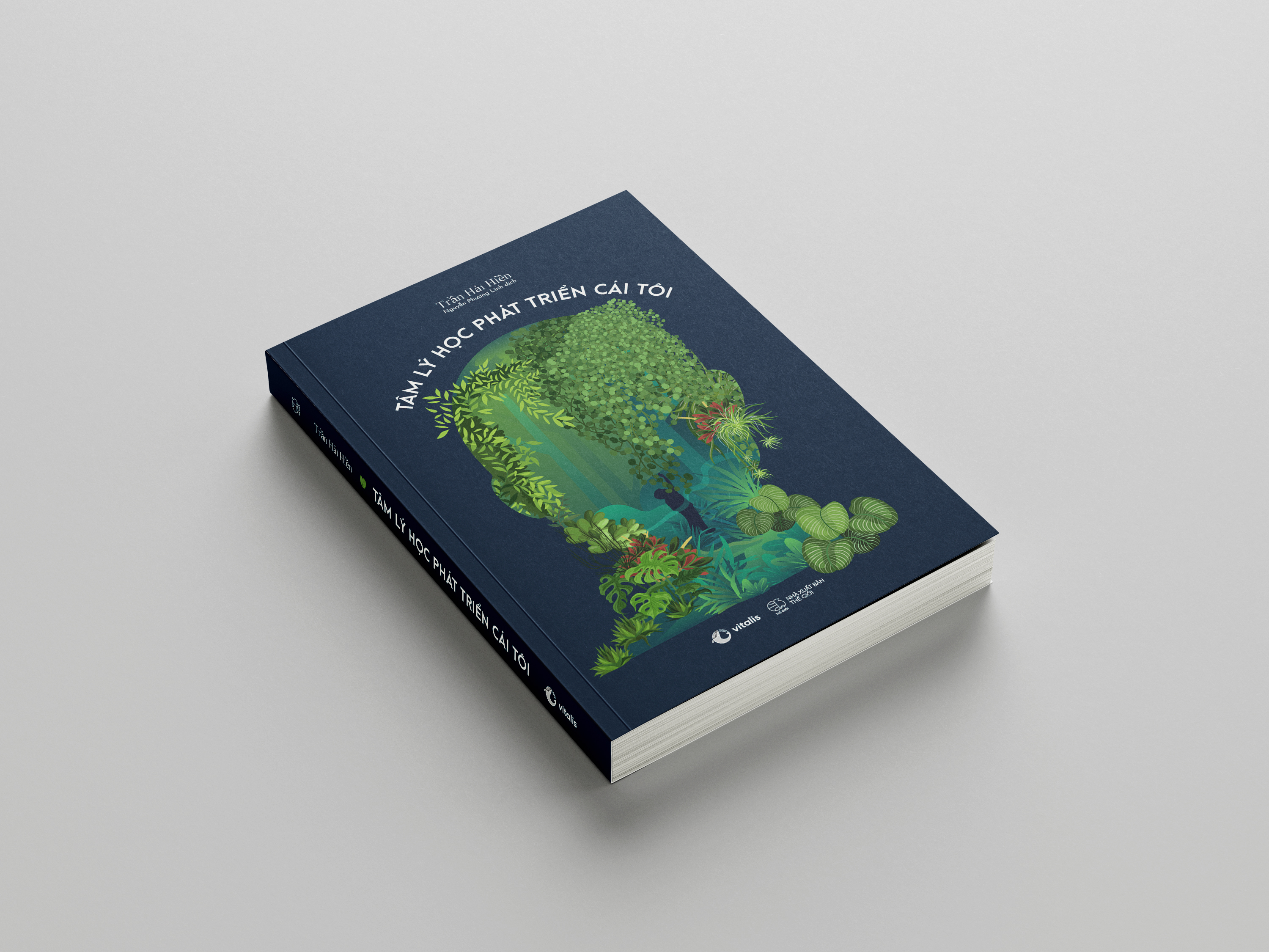 tâm lý học phát triển cái tôi - Ảnh 7