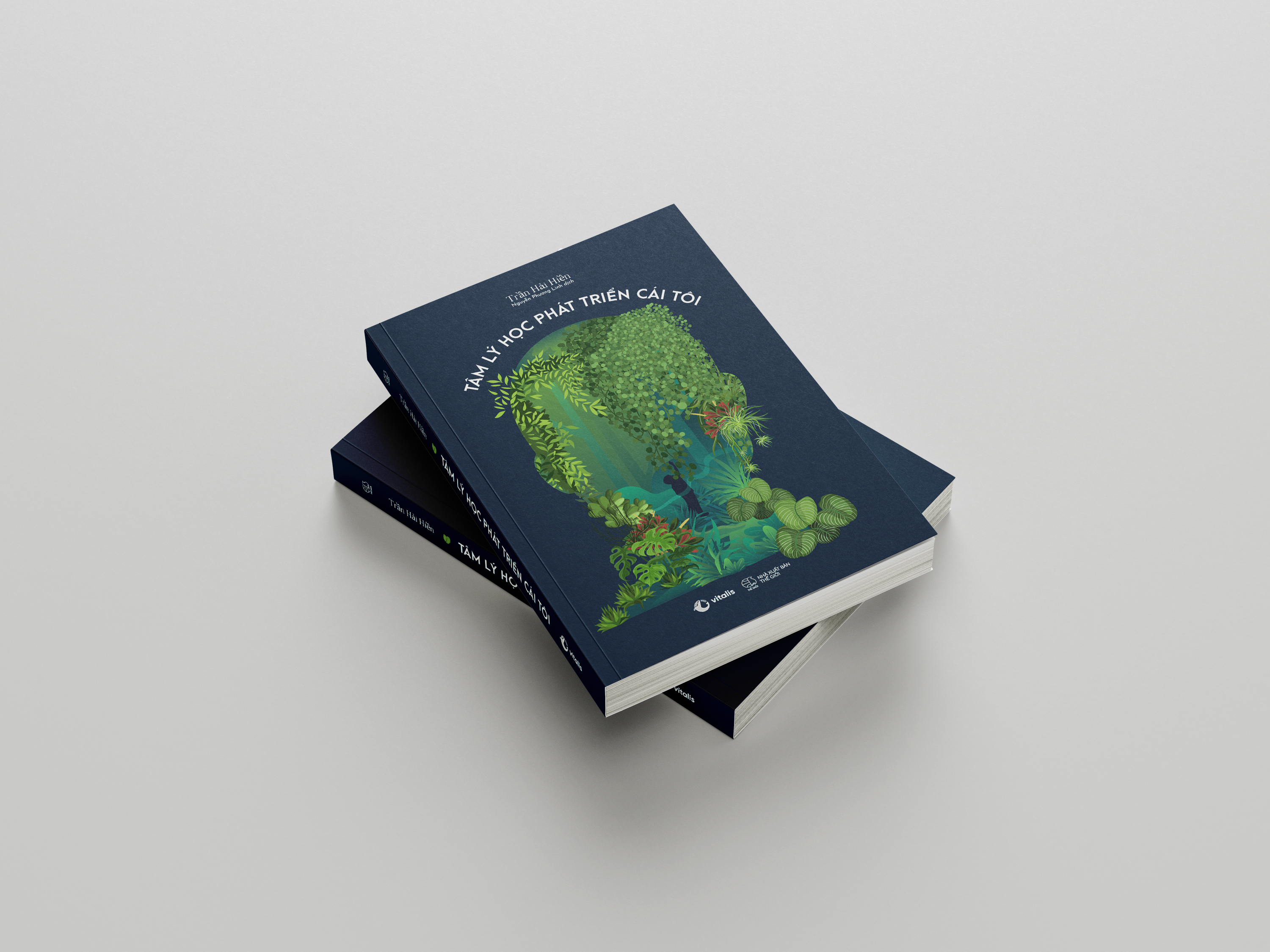 tâm lý học phát triển cái tôi - Ảnh 9