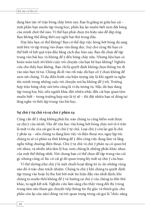 tâm lý học toàn thư - bộ não và tâm trí - Ảnh 10