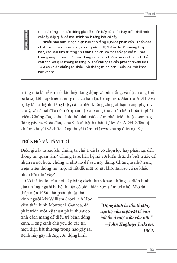 tâm lý học toàn thư - bộ não và tâm trí - Ảnh 13