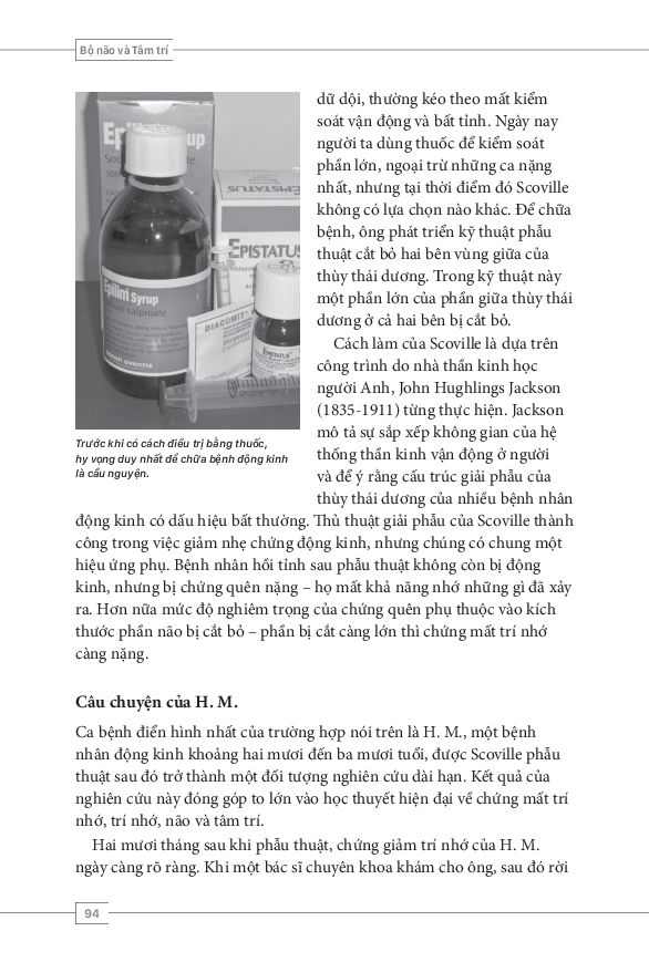 tâm lý học toàn thư - bộ não và tâm trí - Ảnh 14