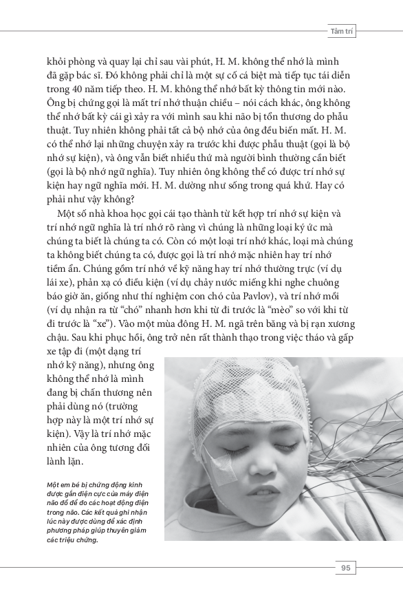 tâm lý học toàn thư - bộ não và tâm trí - Ảnh 15