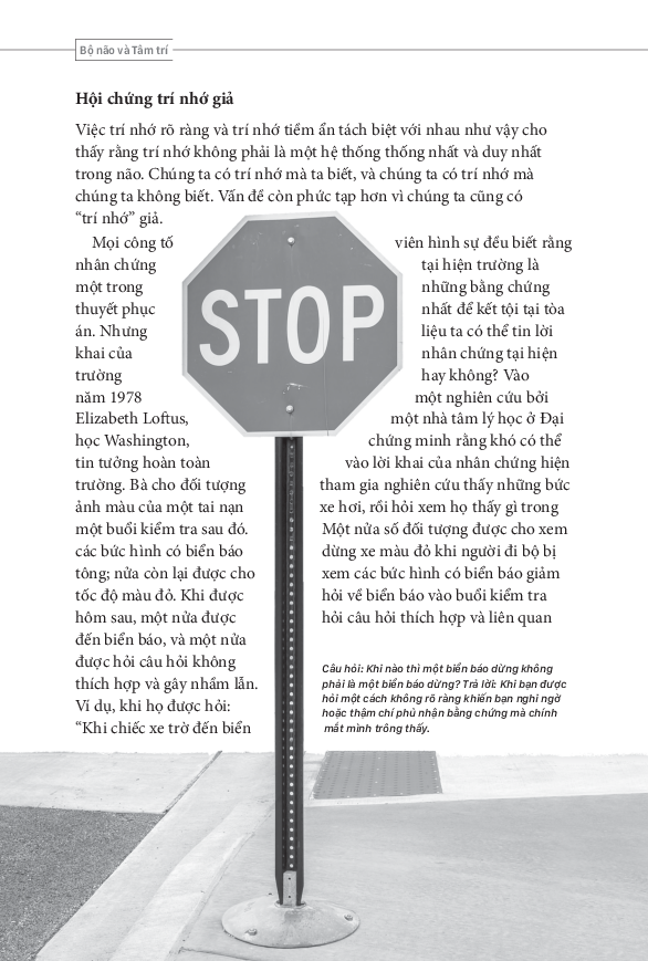 tâm lý học toàn thư - bộ não và tâm trí - Ảnh 16