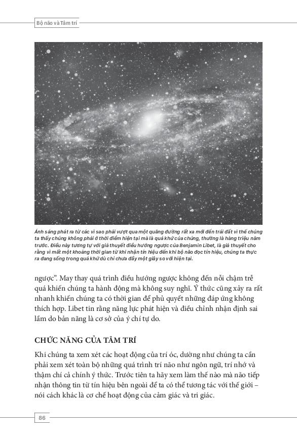 tâm lý học toàn thư - bộ não và tâm trí - Ảnh 6