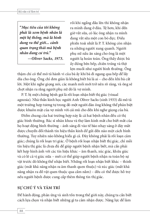 tâm lý học toàn thư - bộ não và tâm trí - Ảnh 8