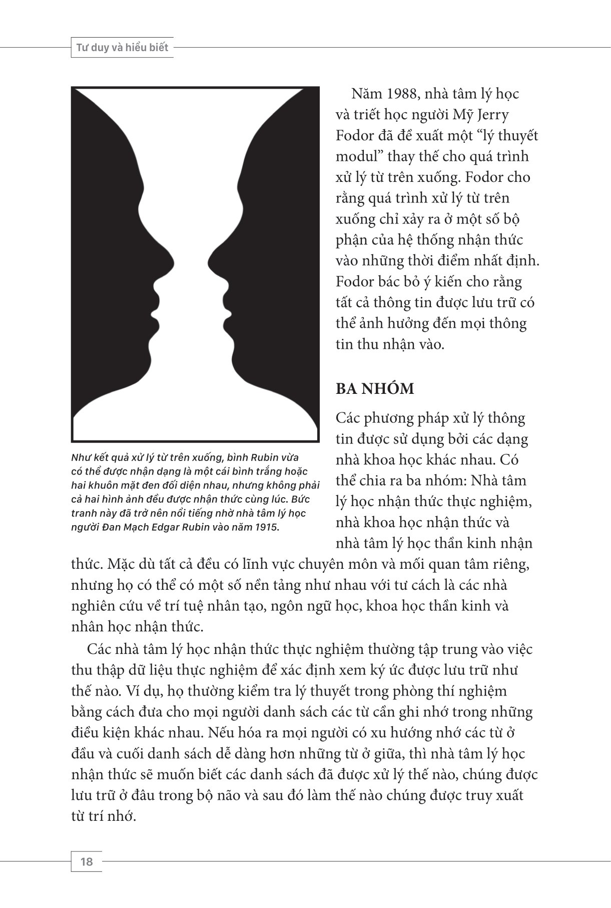 tâm lý học toàn thư - tư duy và hiểu biết - Ảnh 14