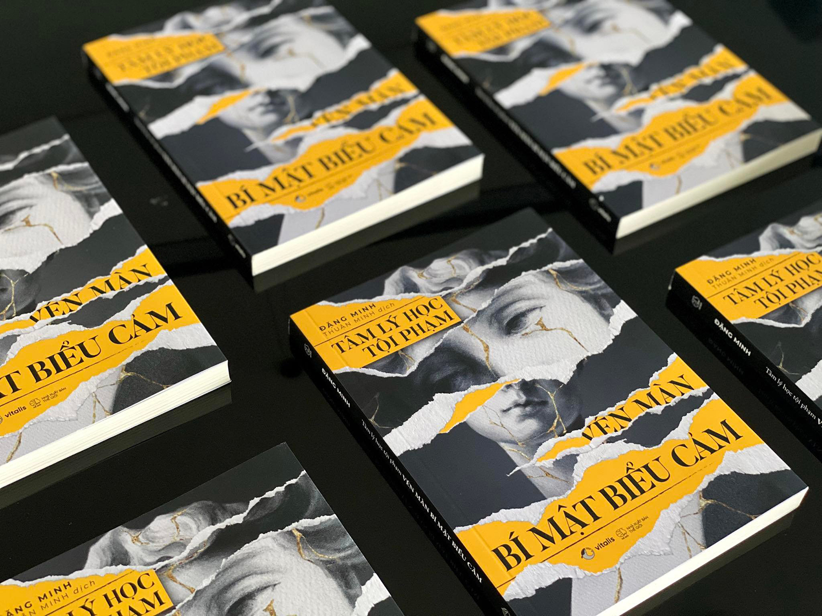 tâm lý học tội phạm vén màn bí mật biểu cảm - Ảnh 4