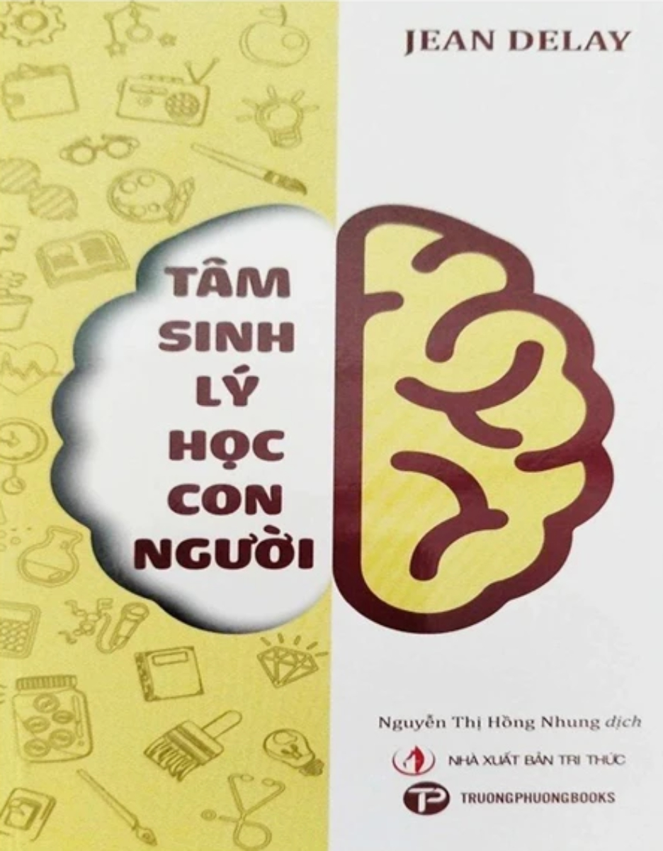 tâm sinh lý học con người - Ảnh 2
