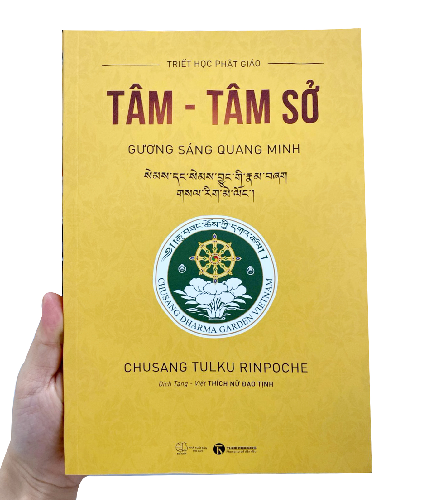tâm - tâm sở - gương sáng quang minh - Ảnh 10