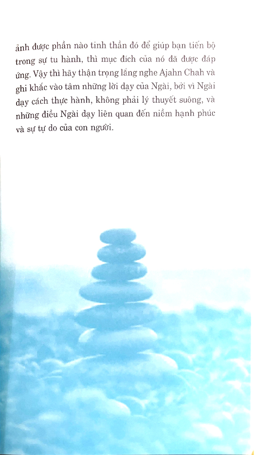 tâm tĩnh lặng (tái bản 2024) - Ảnh 10