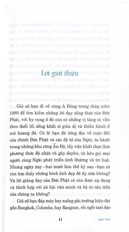 tâm tĩnh lặng (tái bản 2024) - Ảnh 6