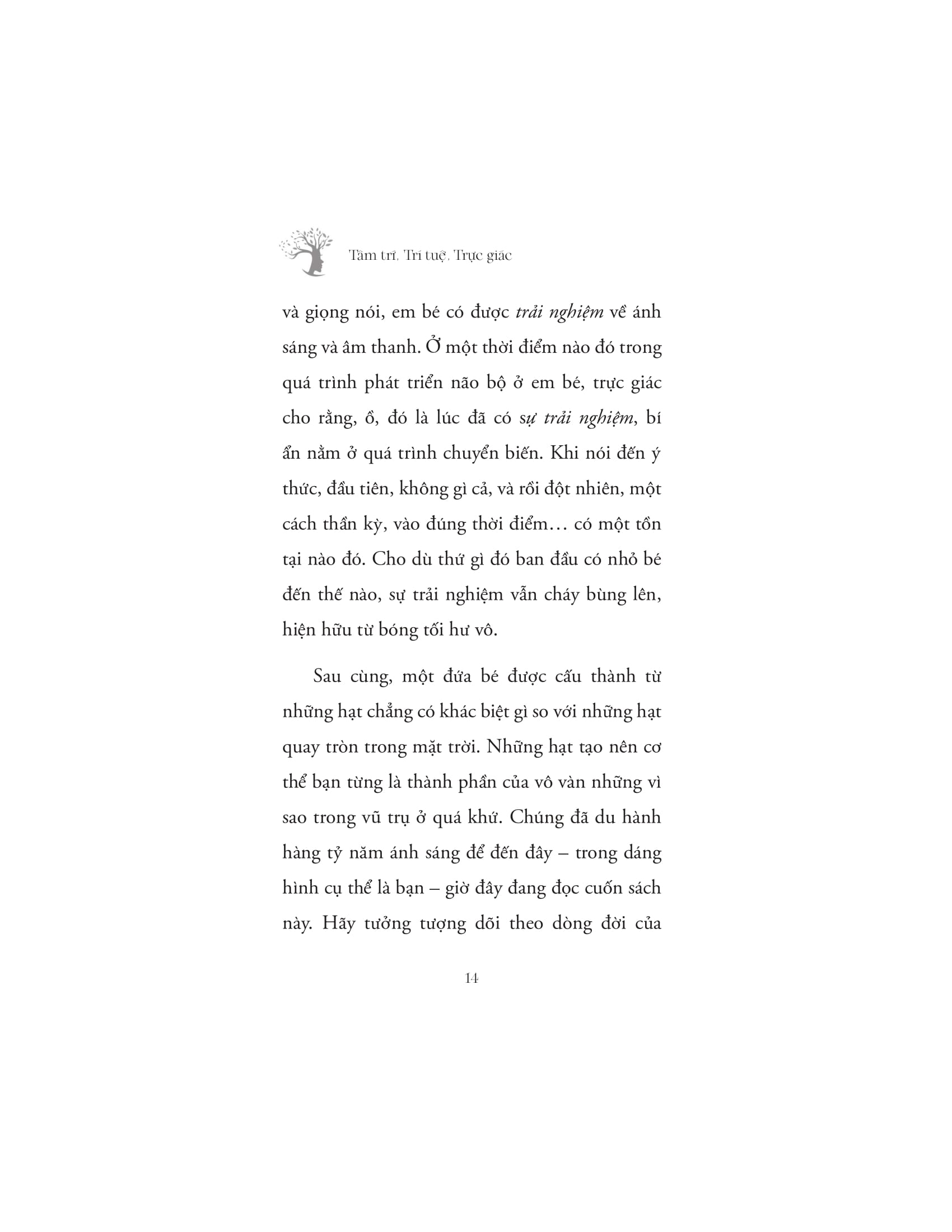 Tâm Trí - Trí Tuệ - Trực Giác - Ảnh 12