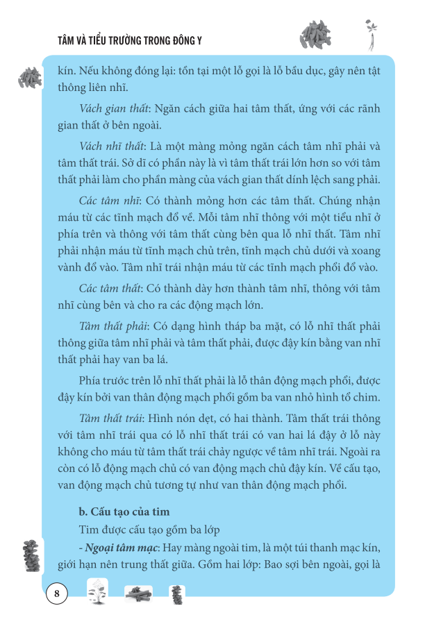 tâm và tiểu trường trong đông y - Ảnh 10