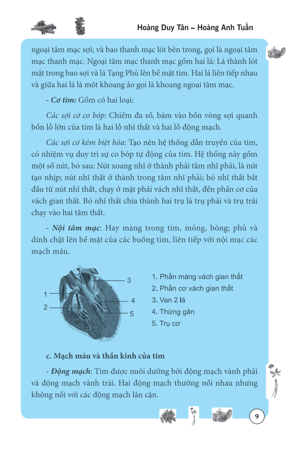 tâm và tiểu trường trong đông y - Ảnh 11