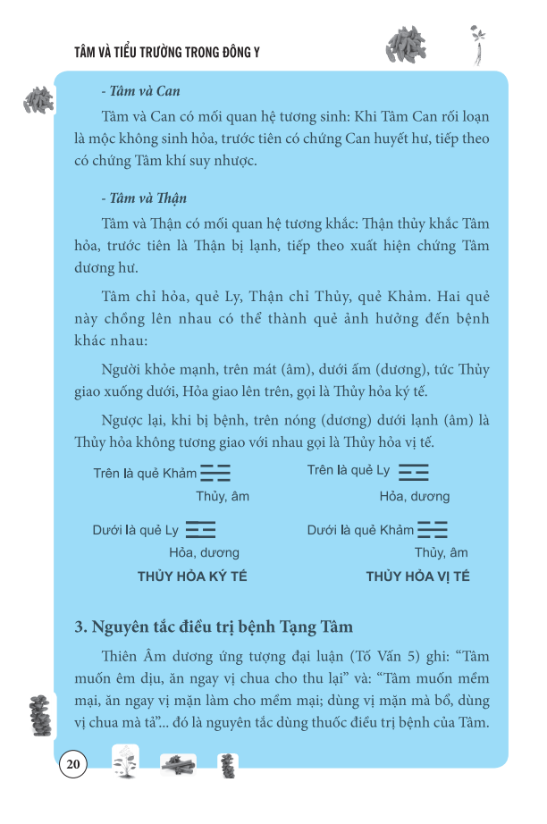 tâm và tiểu trường trong đông y - Ảnh 13