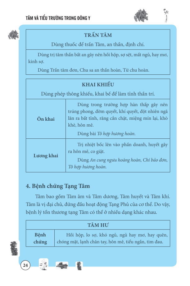 tâm và tiểu trường trong đông y - Ảnh 17