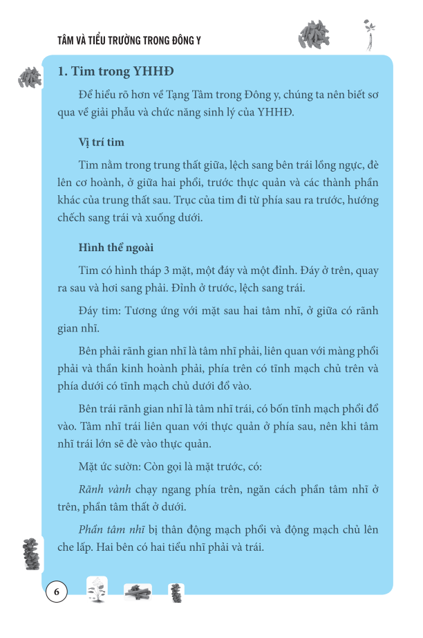 tâm và tiểu trường trong đông y - Ảnh 8