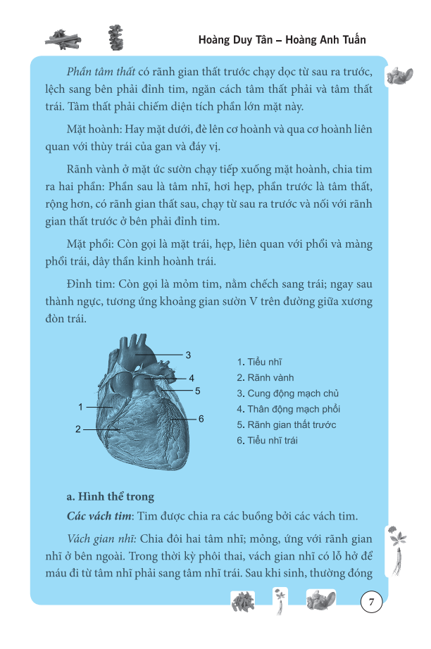 tâm và tiểu trường trong đông y - Ảnh 9