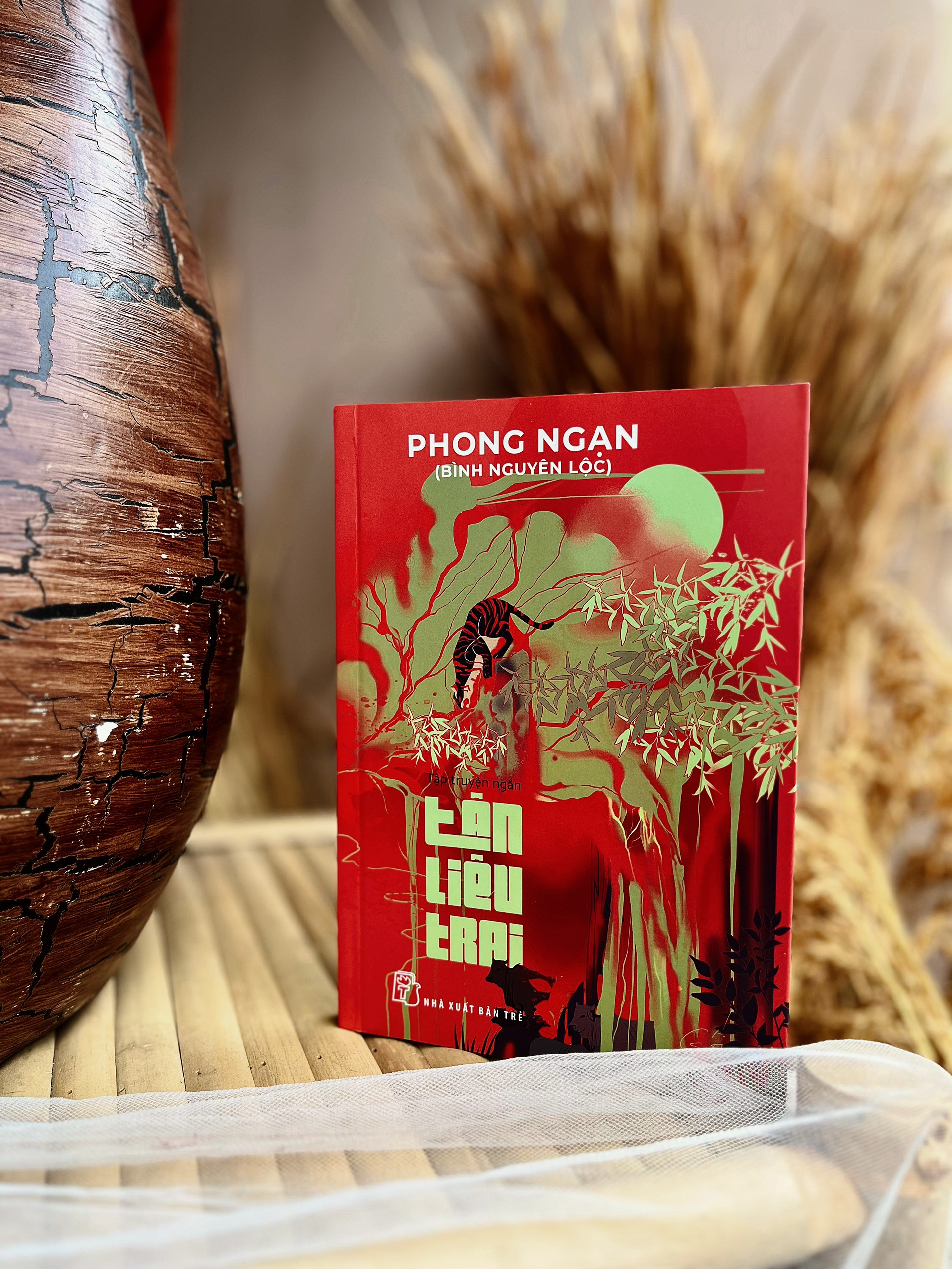 tân liêu trai - Ảnh 2