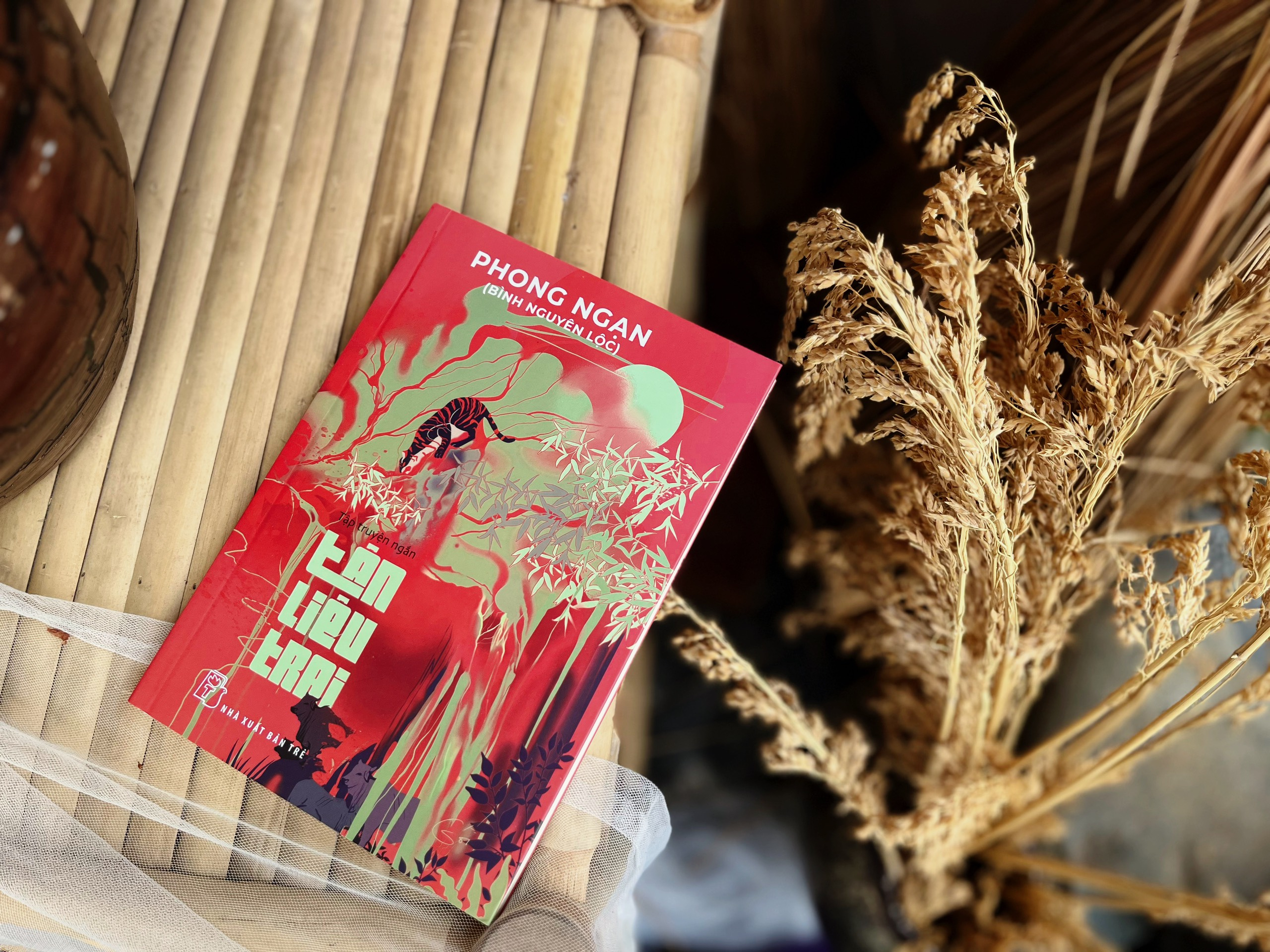 tân liêu trai - Ảnh 3