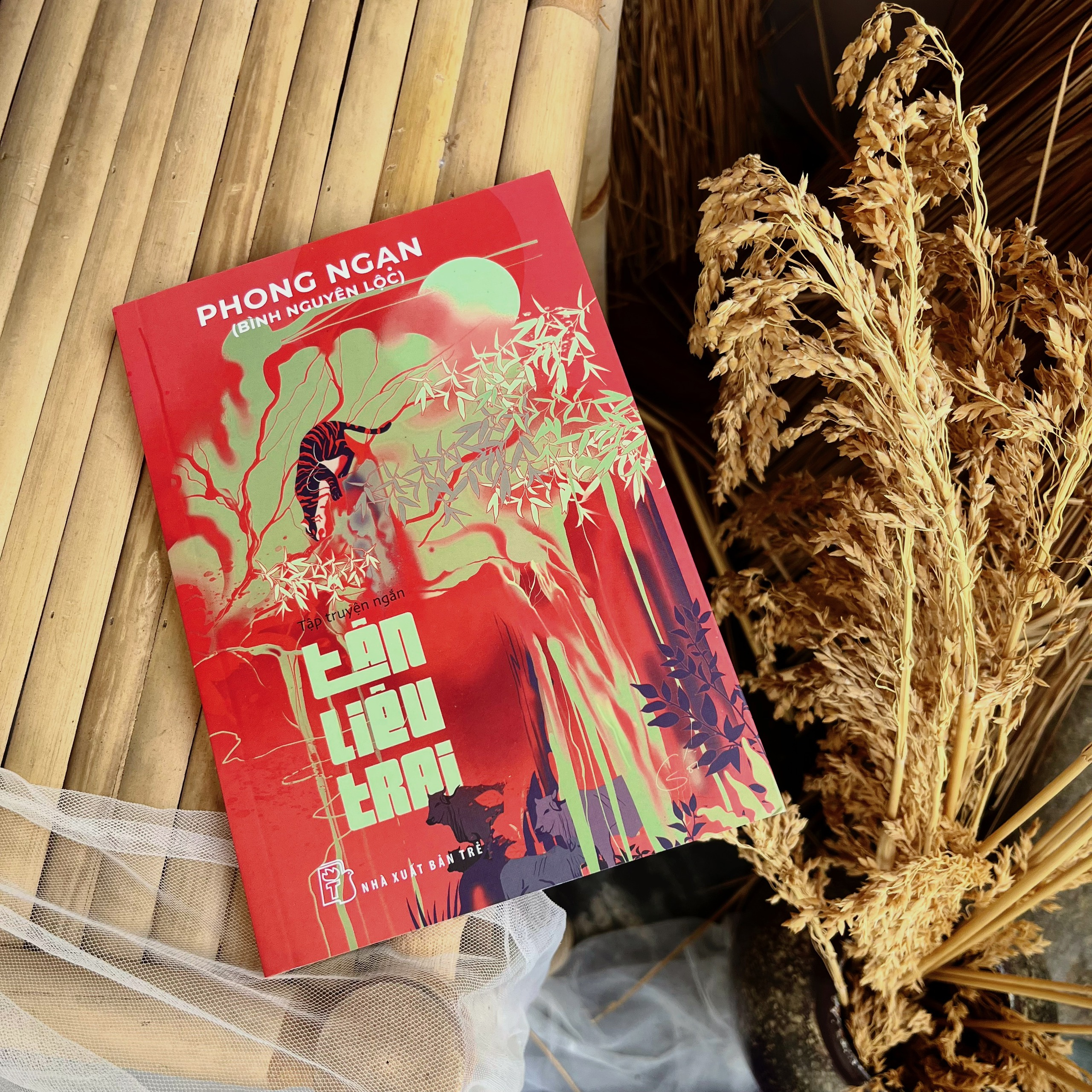 tân liêu trai - Ảnh 4