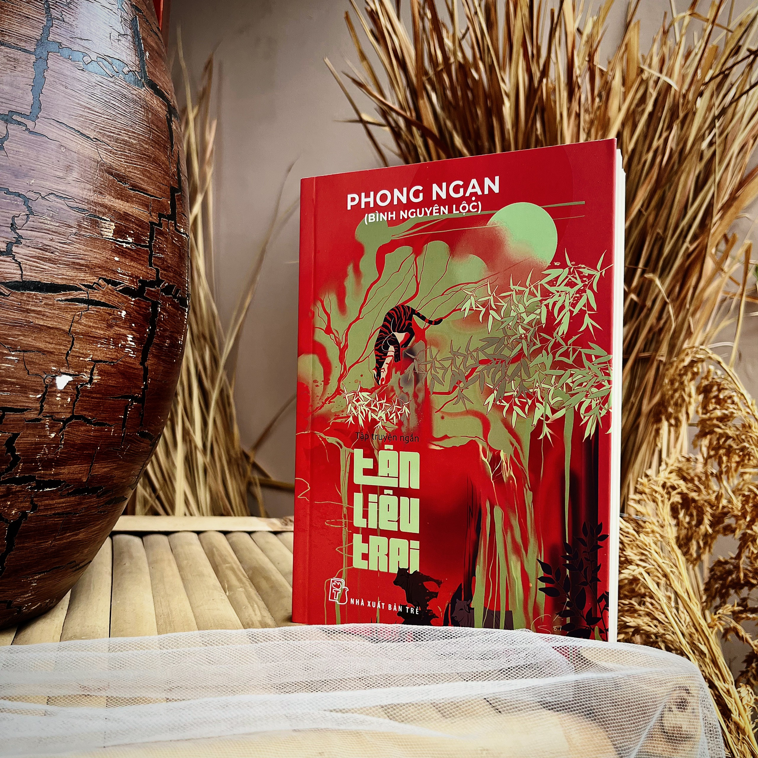 tân liêu trai - Ảnh 5