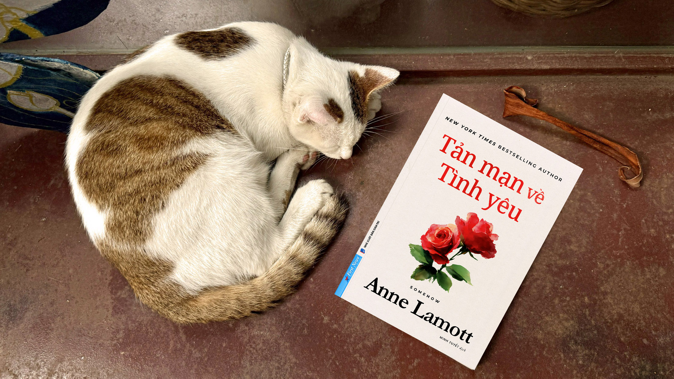 Tản Mạn Về Tình Yêu - Somehow - Ảnh 4