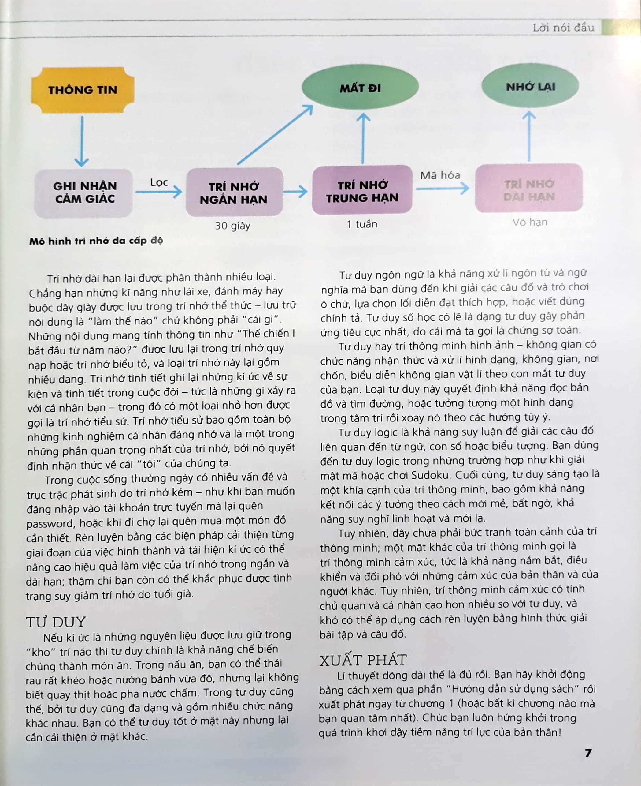 tăng cường trí lực - Ảnh 4