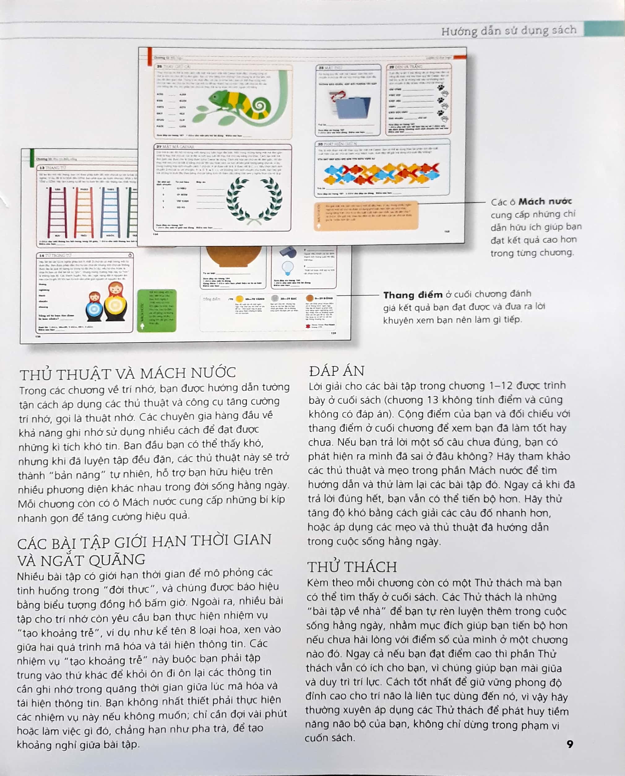 tăng cường trí lực - Ảnh 6