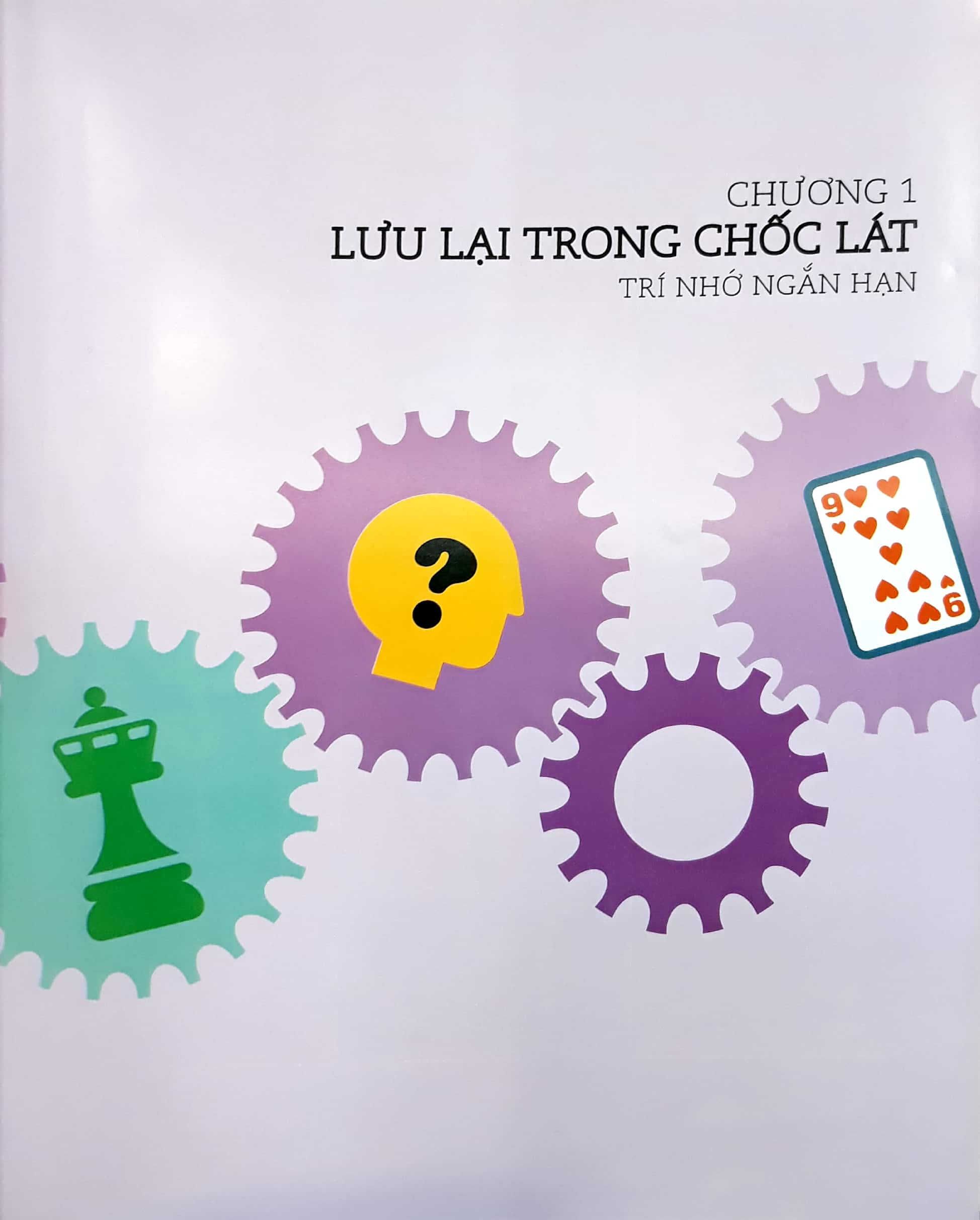 tăng cường trí lực - Ảnh 7