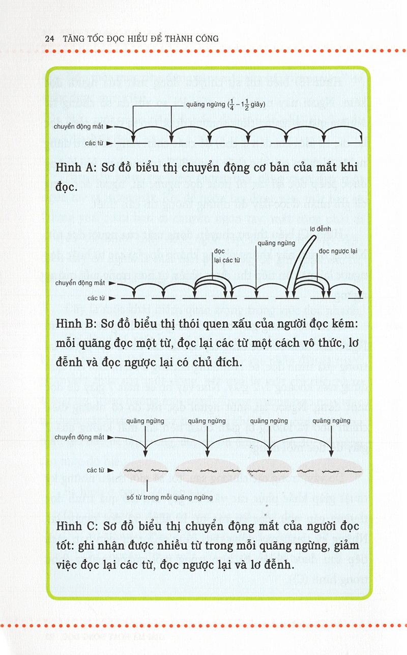 tăng tốc đọc hiểu để thành công - Ảnh 16