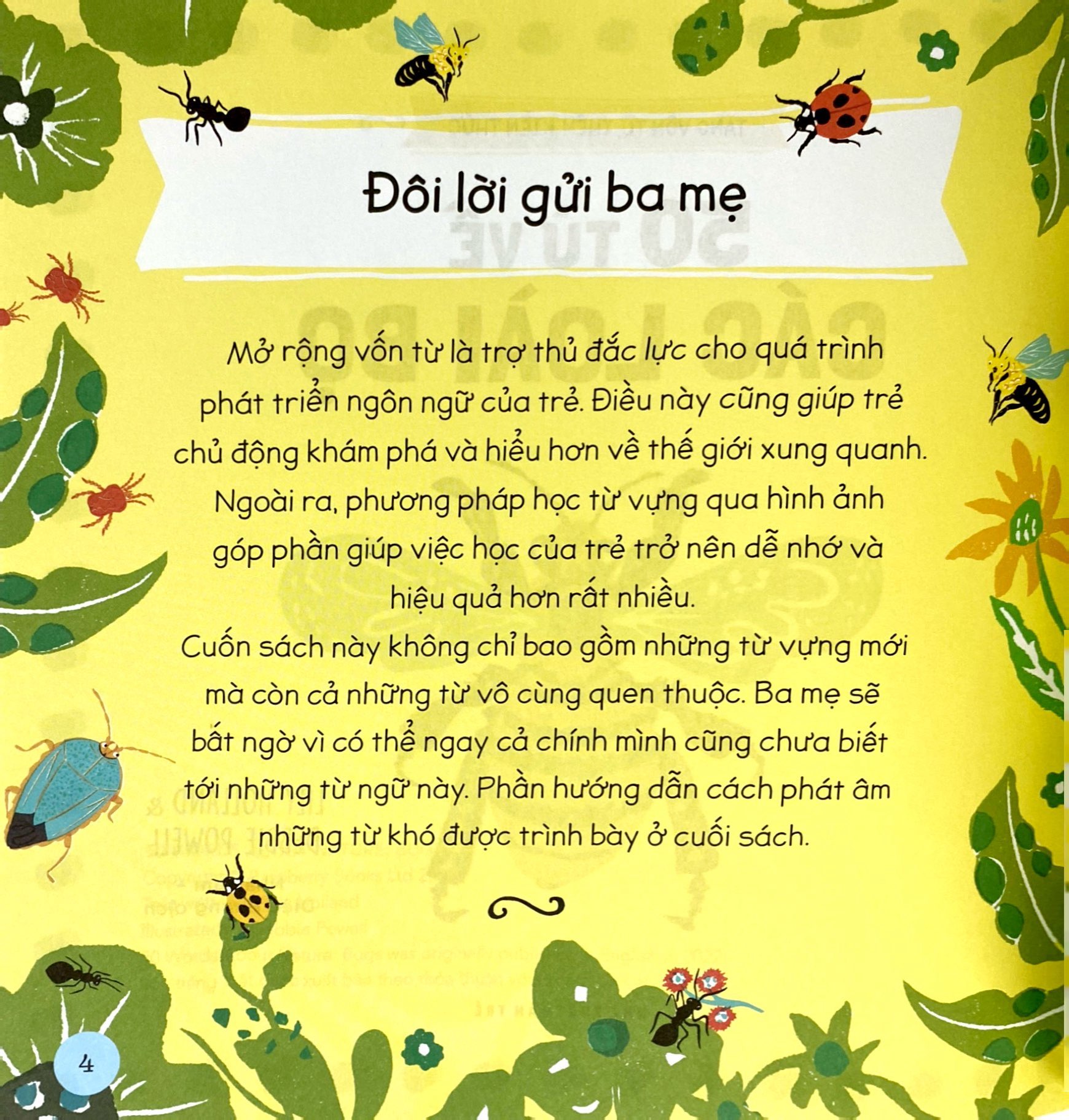 tăng vốn từ, thêm kiến thức - 50 từ về các loài bọ - Ảnh 4