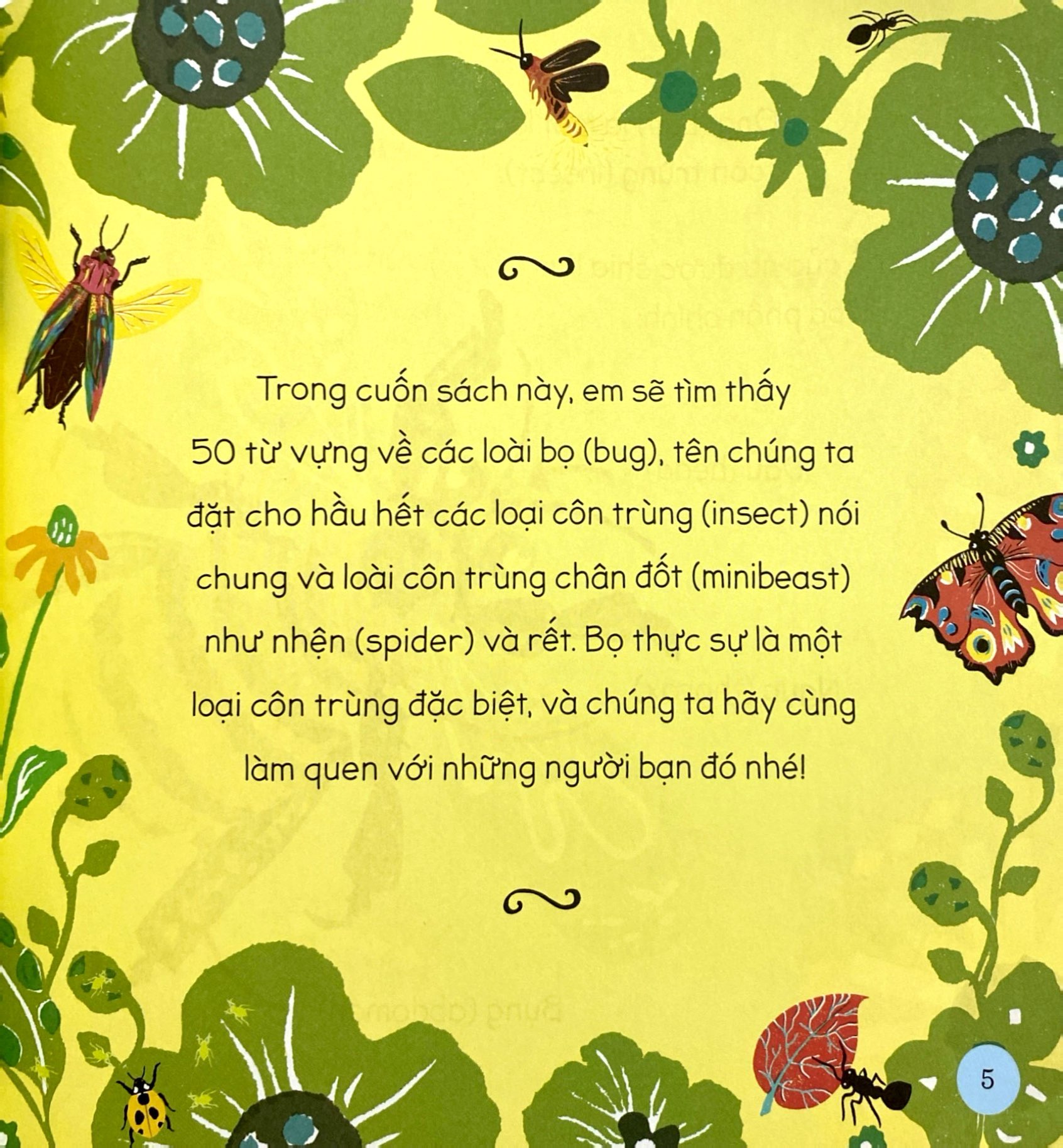 tăng vốn từ, thêm kiến thức - 50 từ về các loài bọ - Ảnh 5