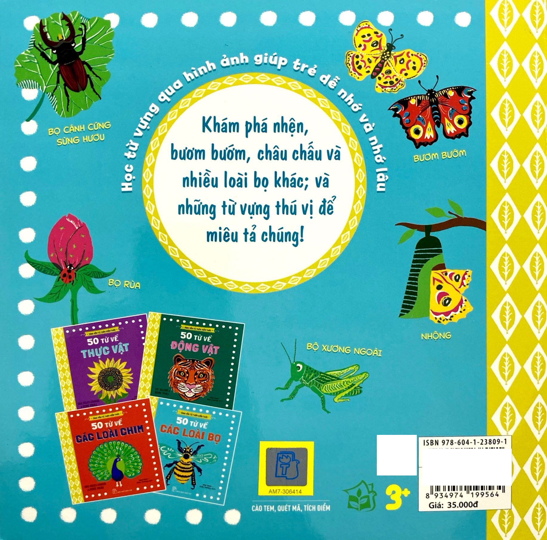 tăng vốn từ, thêm kiến thức - 50 từ về các loài bọ - Ảnh 7