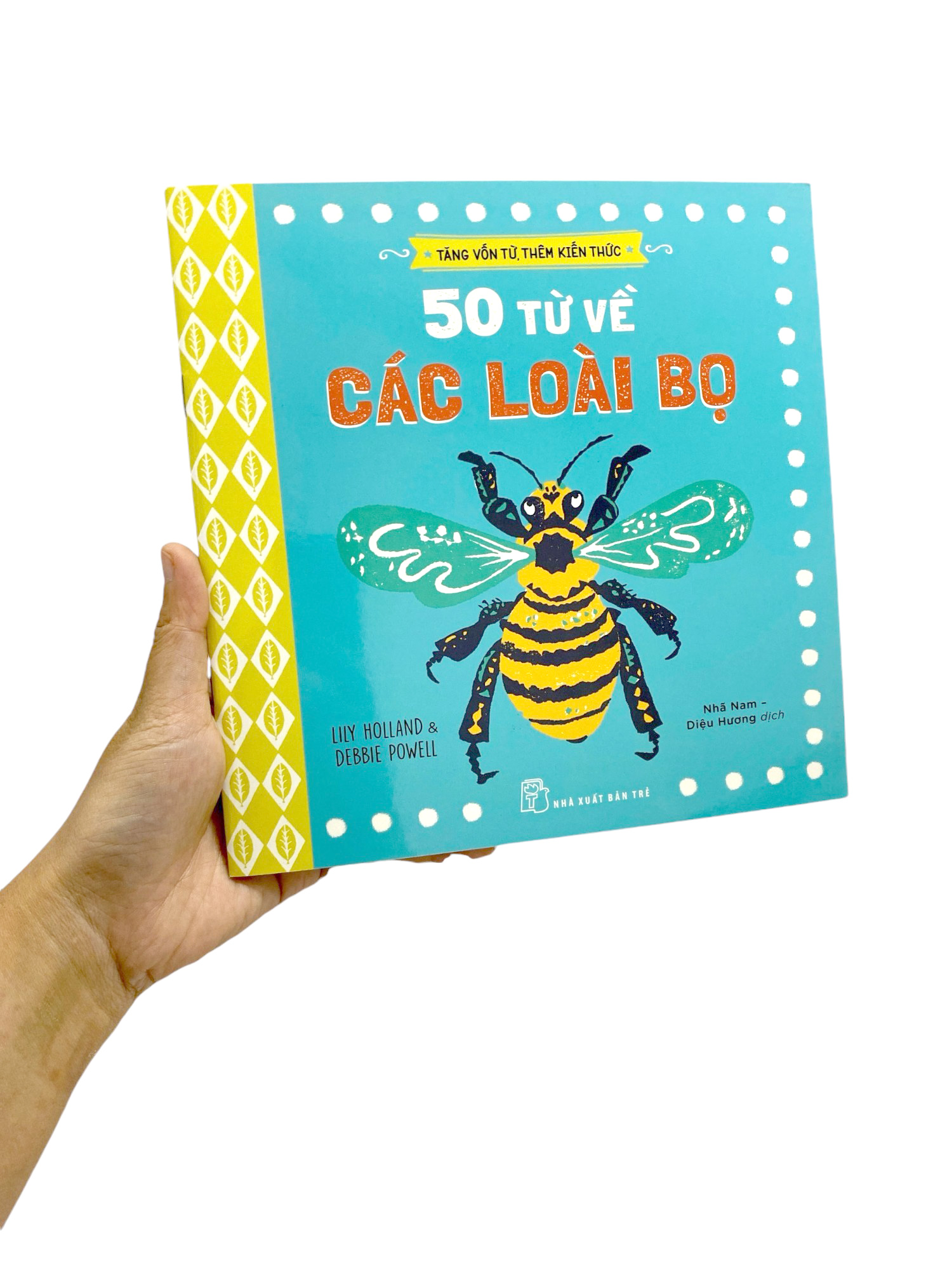 tăng vốn từ, thêm kiến thức - 50 từ về các loài bọ - Ảnh 8