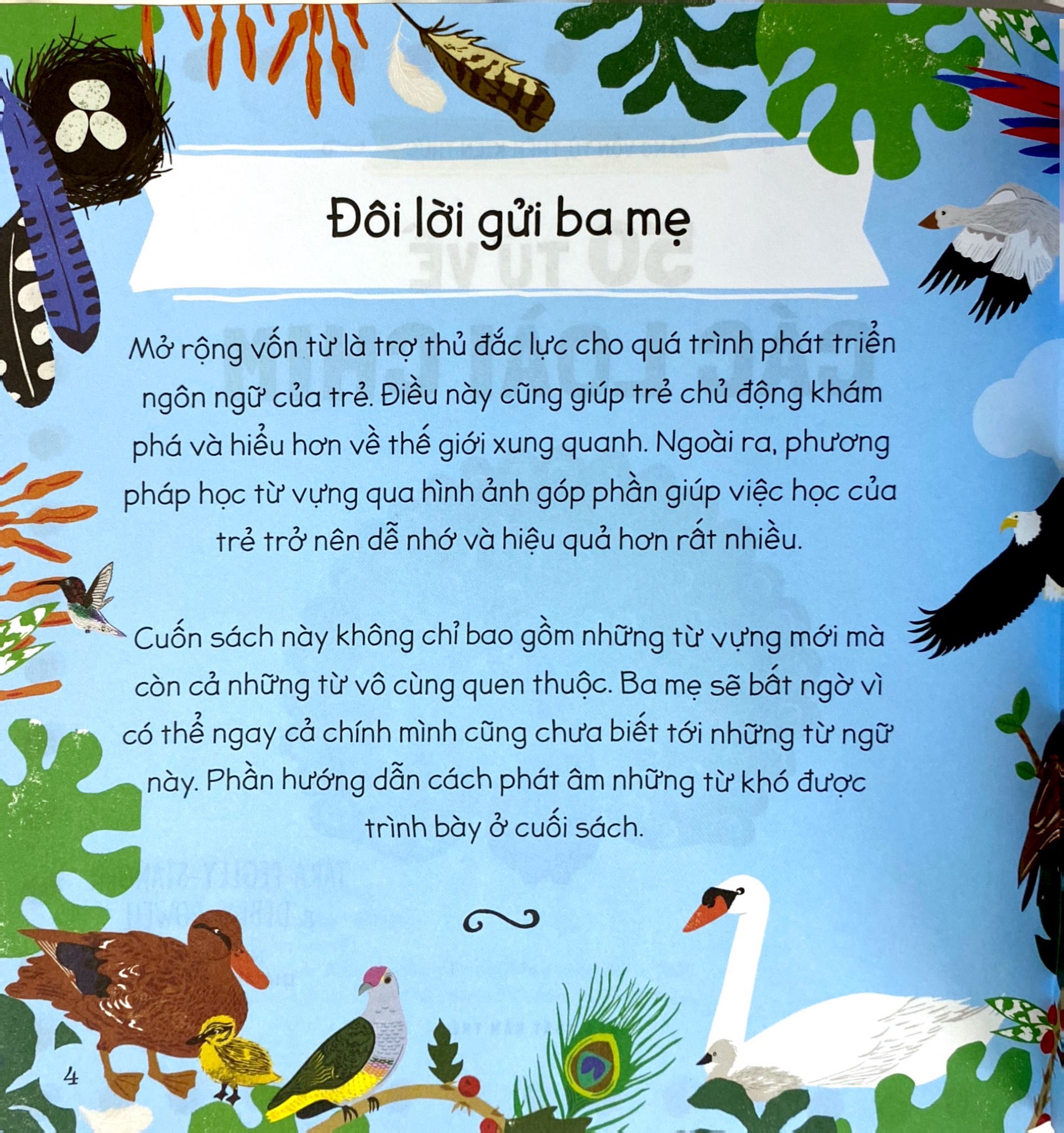 tăng vốn từ, thêm kiến thức - 50 từ về các loài chim - Ảnh 4