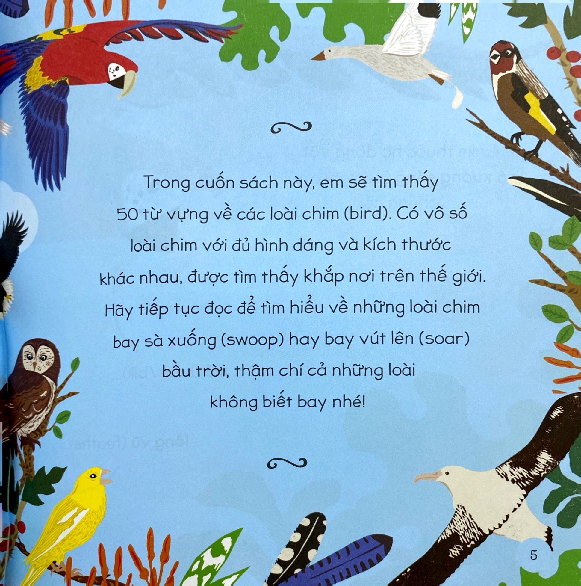 tăng vốn từ, thêm kiến thức - 50 từ về các loài chim - Ảnh 5