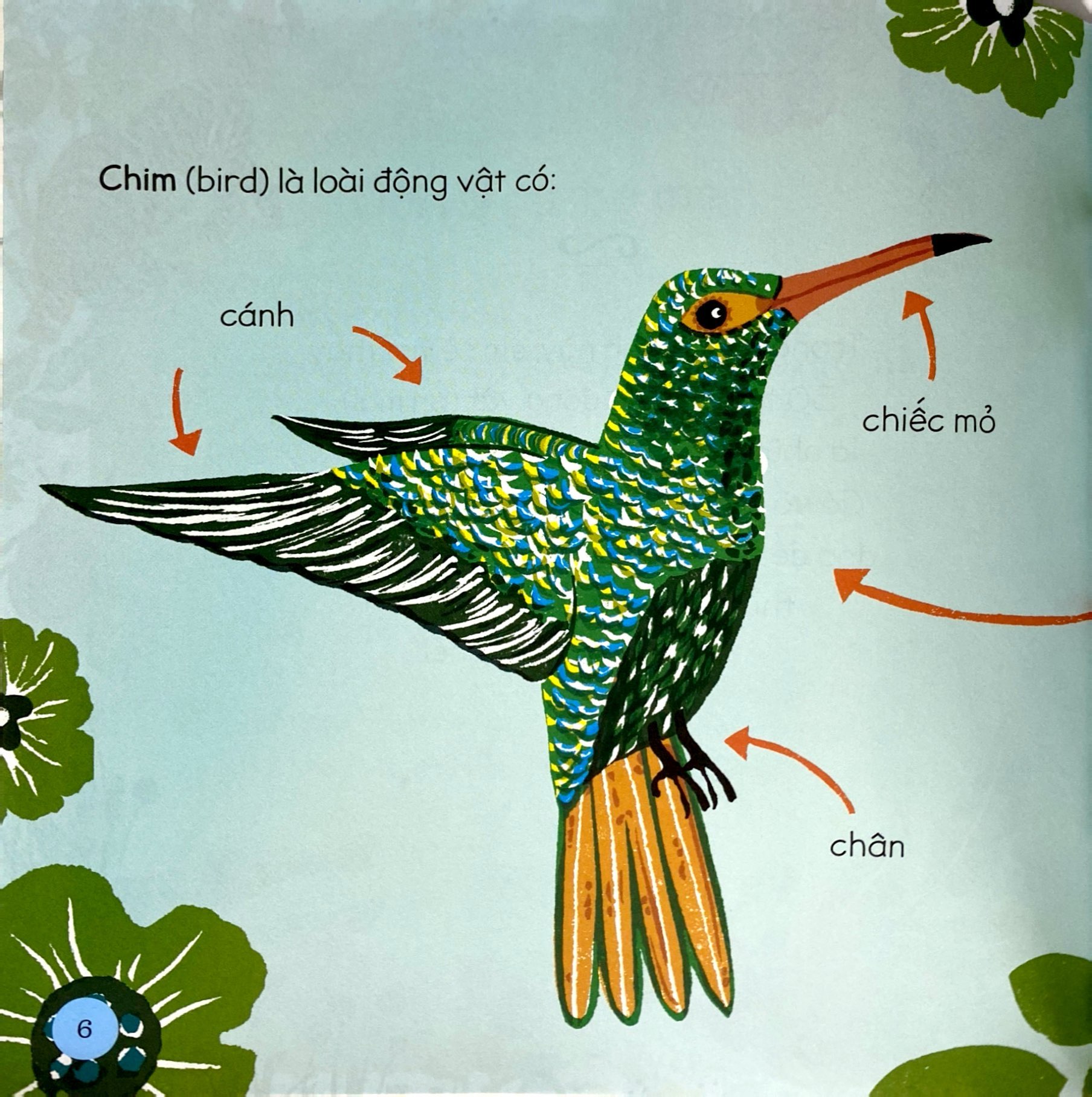 tăng vốn từ, thêm kiến thức - 50 từ về động vật - Ảnh 6