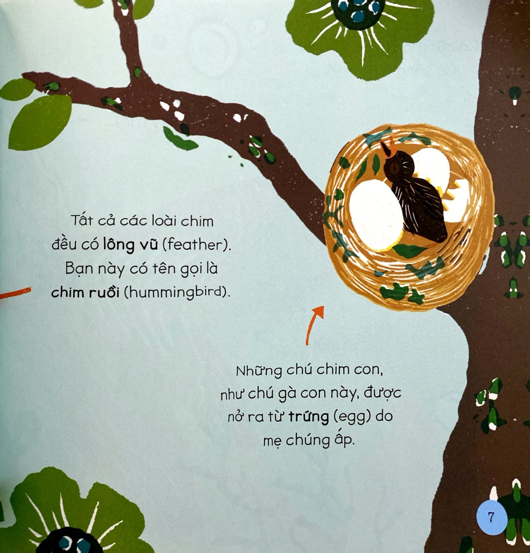 tăng vốn từ, thêm kiến thức - 50 từ về động vật - Ảnh 7