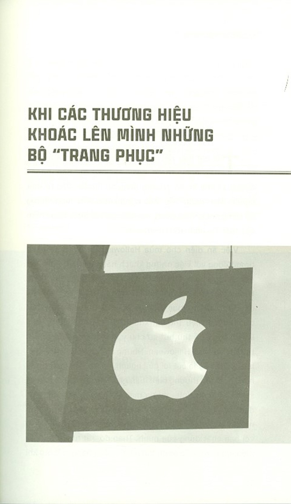 tạo dựng thương hiệu - Ảnh 7