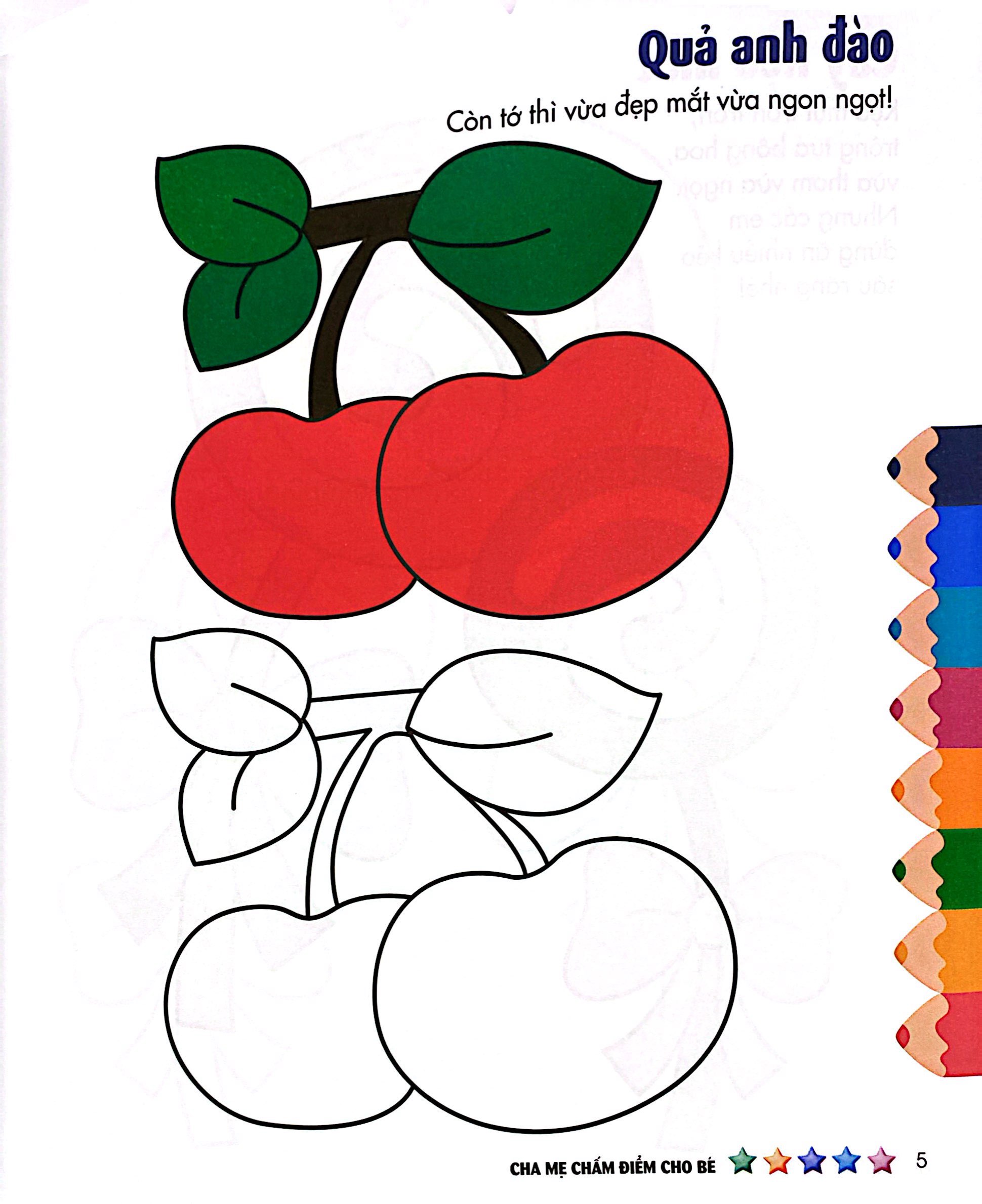 tập sách tô màu đầu tiên của bé - cuộc sống muôn màu - tô màu và dán hình - tập 2 - Ảnh 7