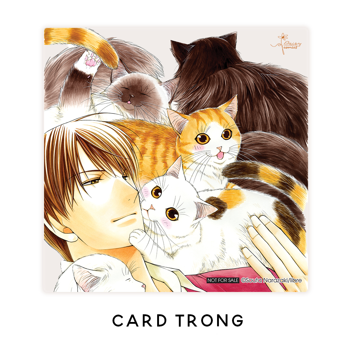 tập san nekoneko - tặng kèm card trong - Ảnh 5