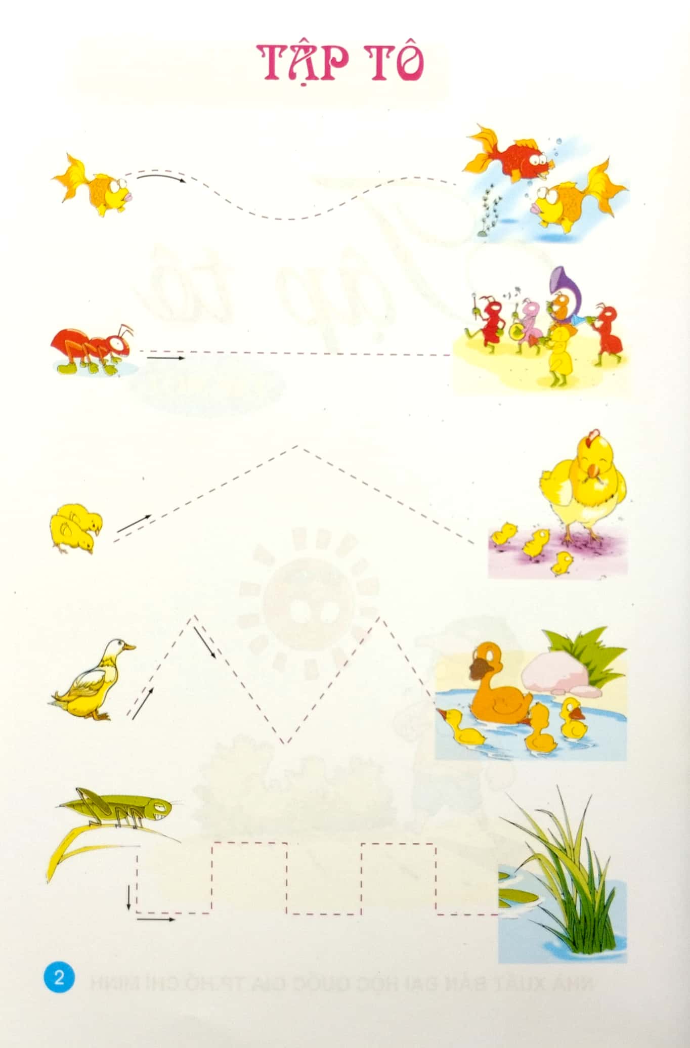 tập tô 1 - dành cho bé 4 - 5 tuổi - Ảnh 3