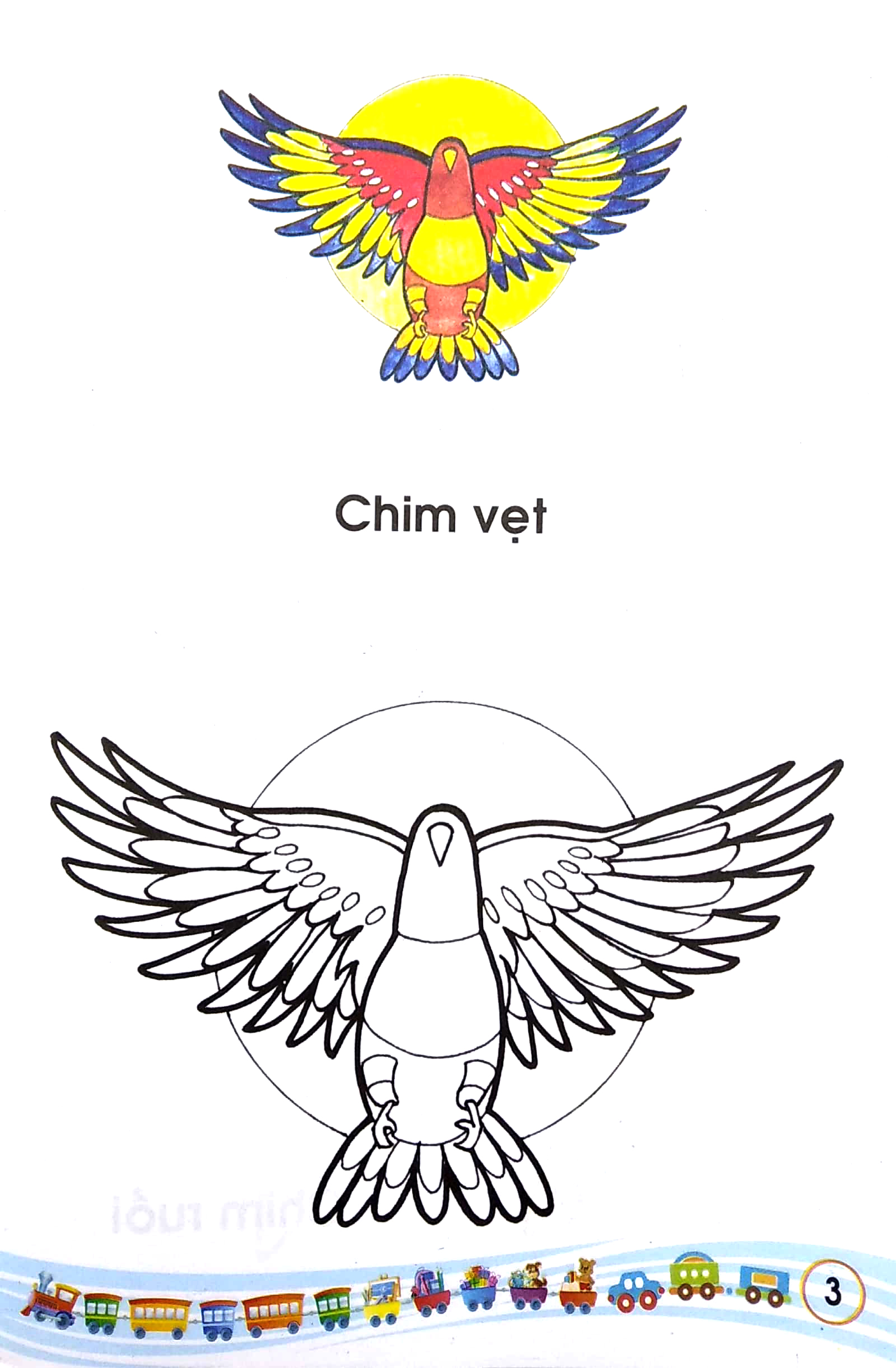 tập tô màu - các loài chim - Ảnh 4