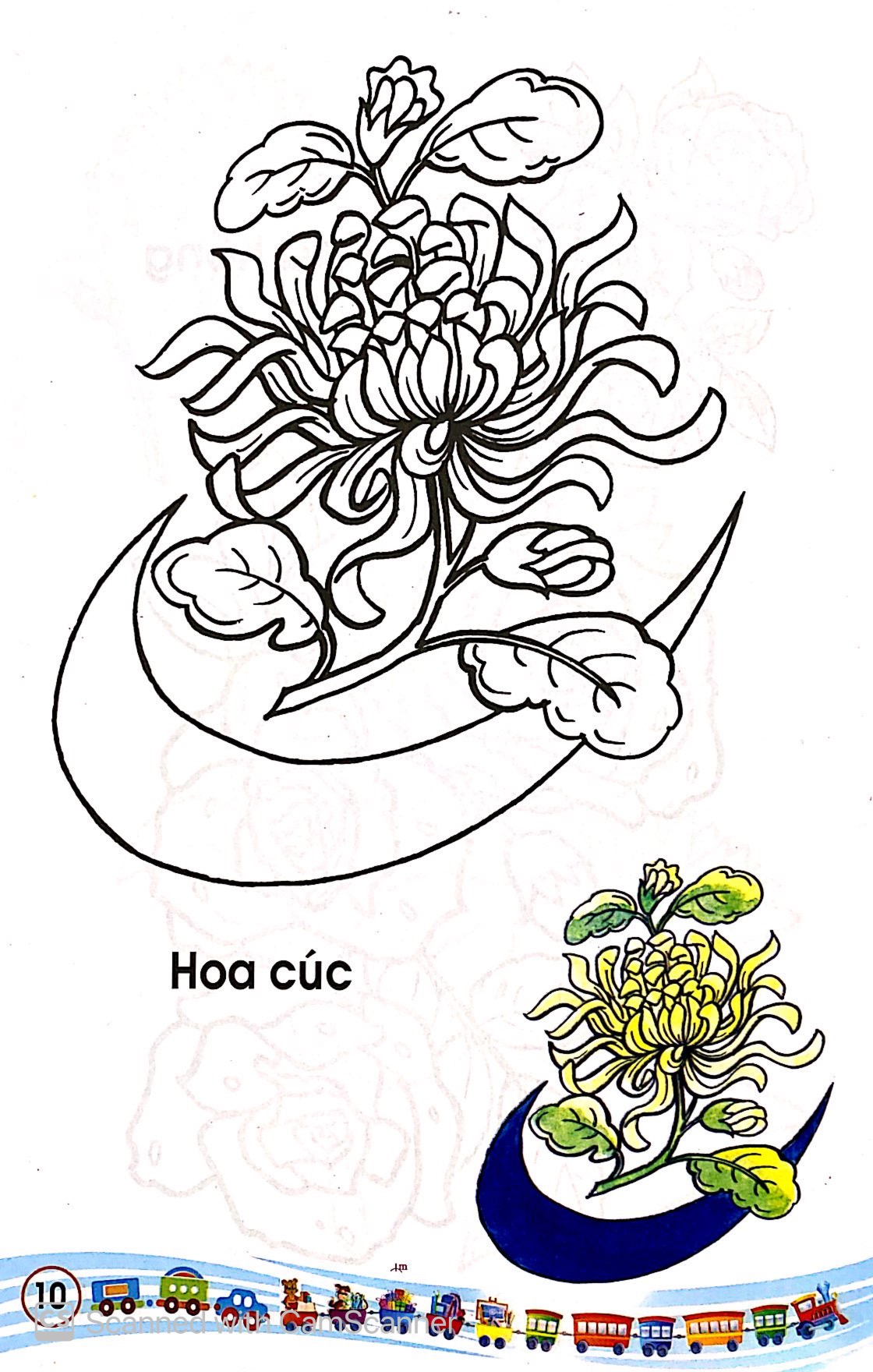 tập tô màu các loại hoa - Ảnh 11