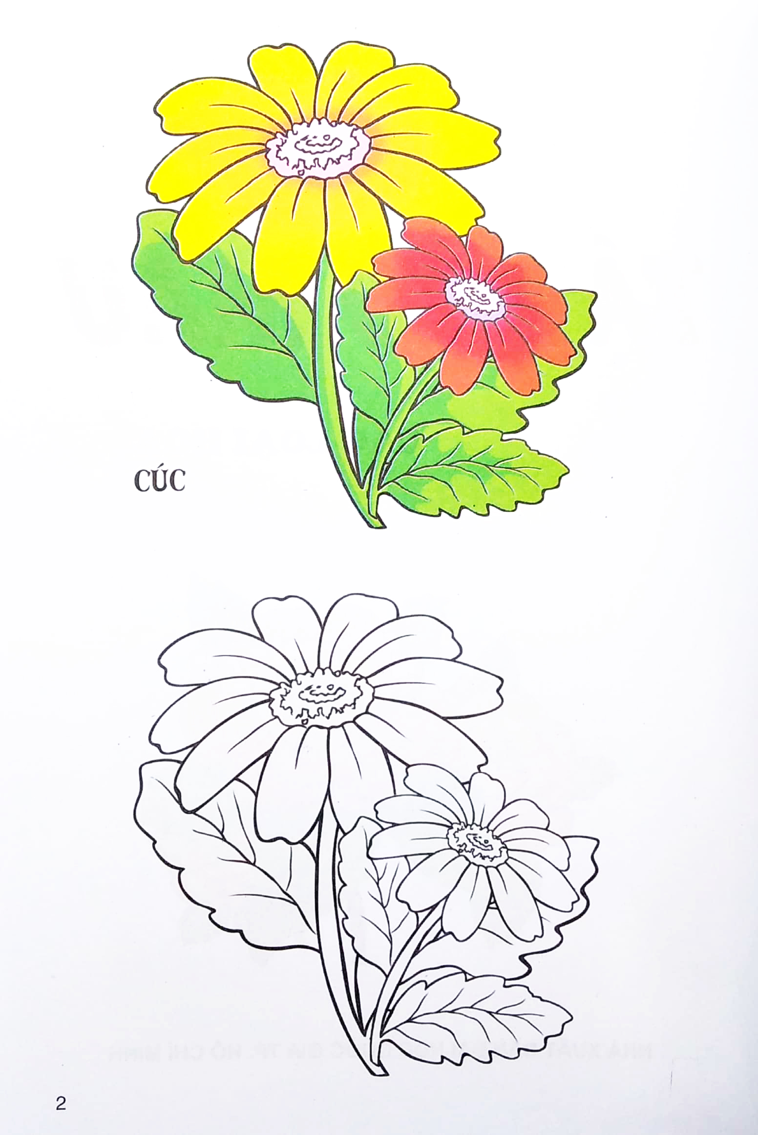 tập tô màu các loại hoa - Ảnh 3