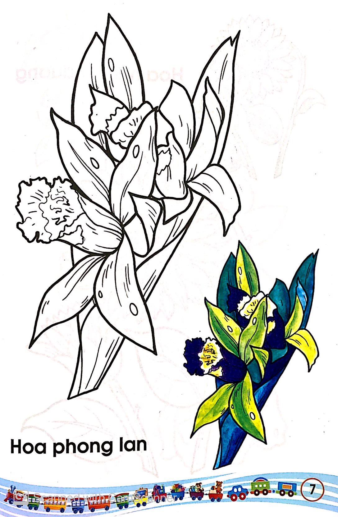 tập tô màu các loại hoa - Ảnh 8