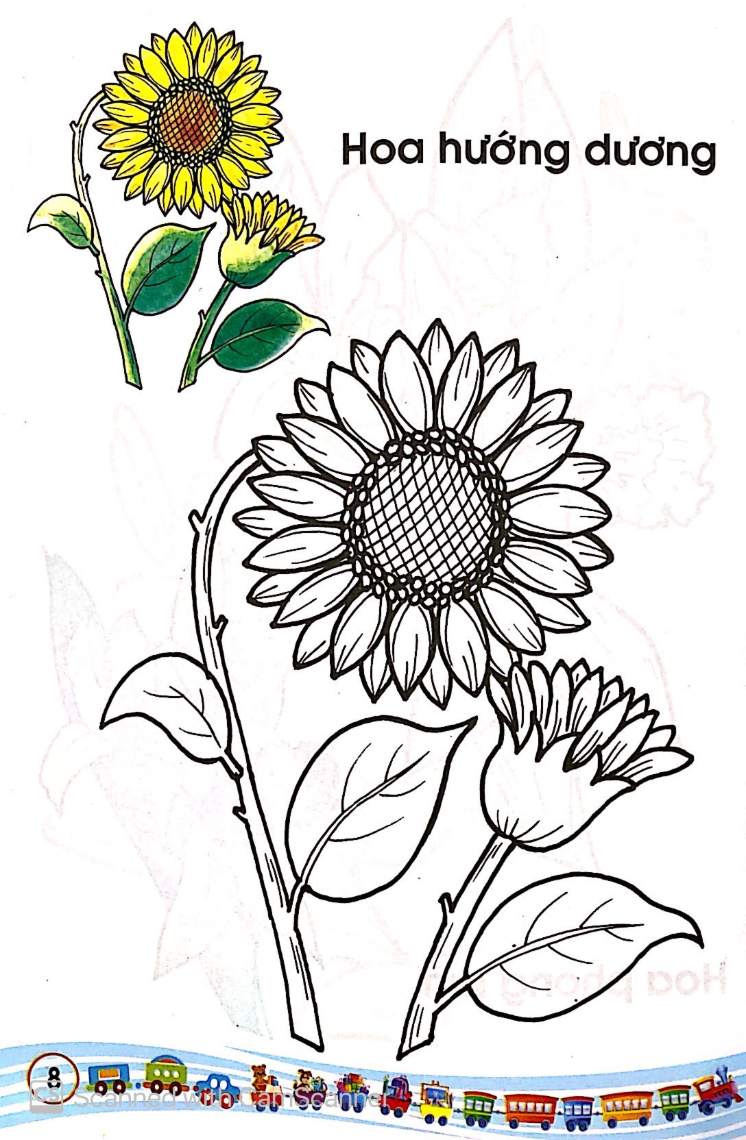 tập tô màu các loại hoa - Ảnh 9