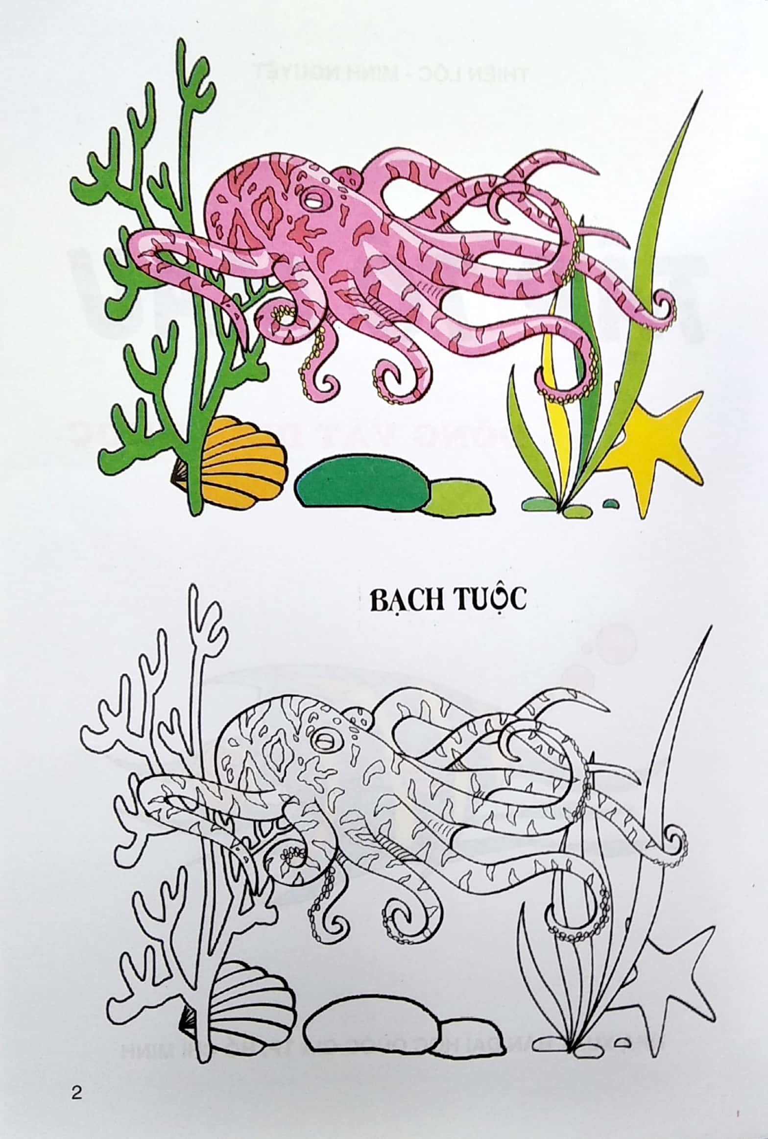 tập tô màu - động vật dưới nước - Ảnh 3