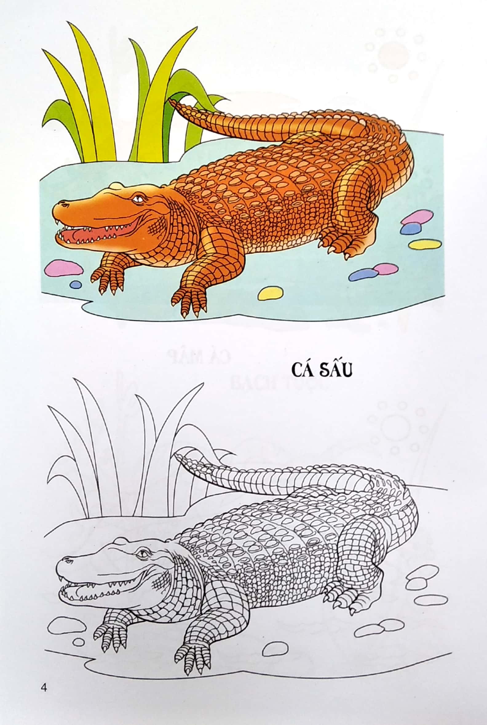 tập tô màu - động vật dưới nước - Ảnh 5